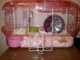 Dwarf hamster with cage and accessories included