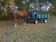 HORSE DRAWN WAGON RIDES FOR SPECIAL OCCASIONS
