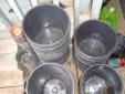 Many Like New Flower Pots Buckets Planters: $free to $1 each