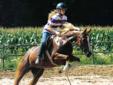 Professional Horse Training- Quiet, Proven Methods