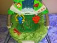 Rainforest Fisher Price Bouncy Chair