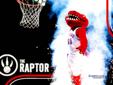 Toronto Raptors Tickets: Lower Bowl Seats - REDUCED PRICES!!!
